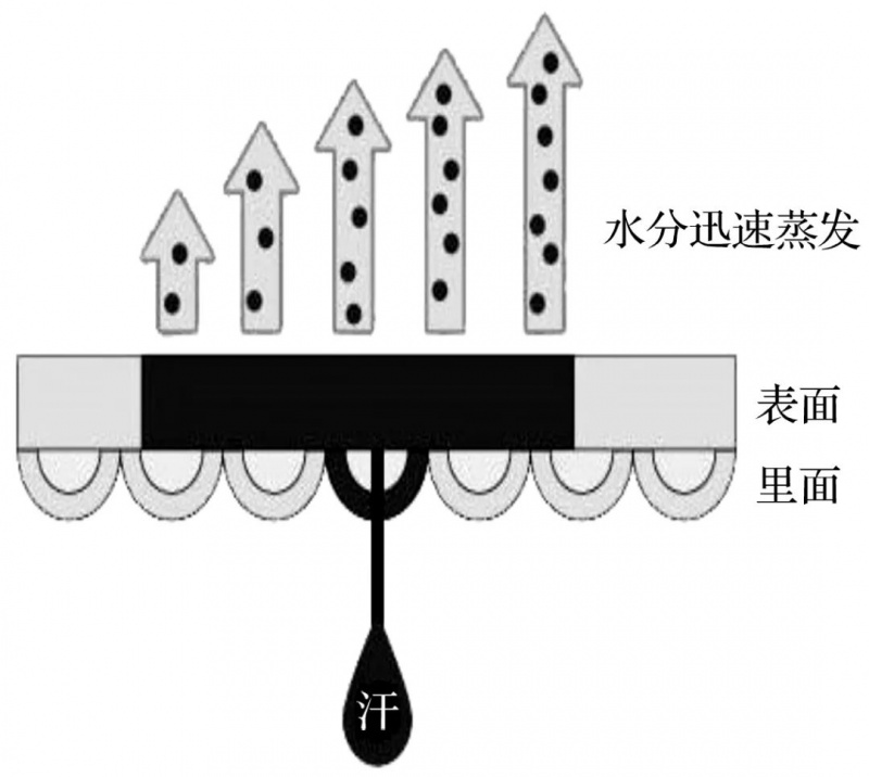 涂層機(jī),定型機(jī),地毯機(jī),地毯背膠機(jī),靜電植絨機(jī)