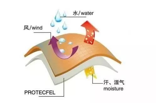 定型機(jī),涂層機(jī),地毯機(jī),地毯背膠機(jī),靜電植絨機(jī)